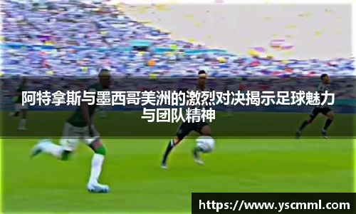 熊猫体育app