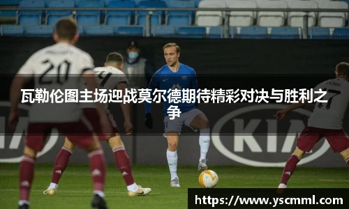 熊猫体育